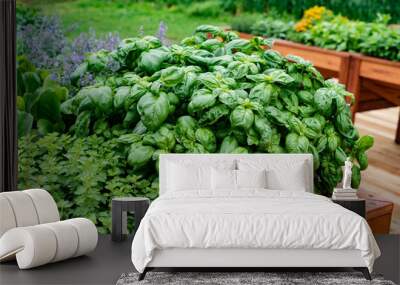 herb garden on a rustic wooden table Wall mural