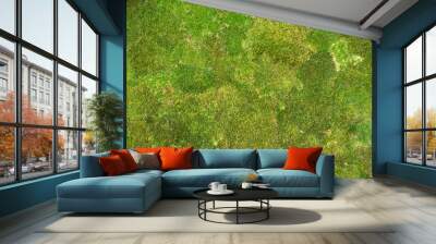 moss background Wall mural