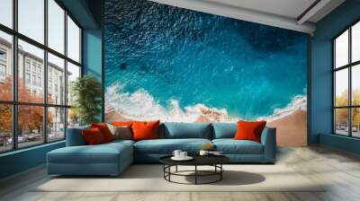 View of the ocean and wild beach from above Wall mural