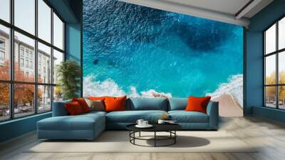 Wild beach, top view, waves Wall mural