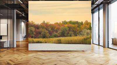 A lake or river in late autumn, the banks in colorful trees. Sharpness on the shore Wall mural