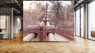 Old rusty bridge cable retainer Wall mural