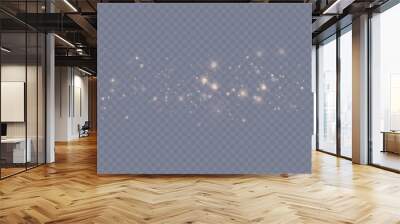 Abstract bokeh lights isolated on transparent background for Christmas and New Year illustrations. Vector Wall mural