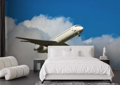 Landing jet Wall mural