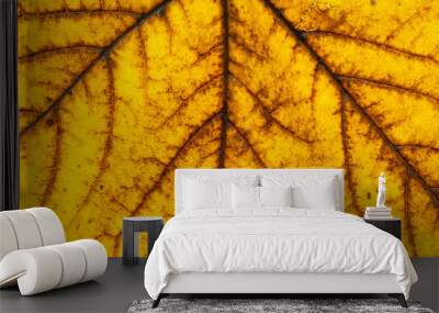 Leaf texture background. Abstract foliage tropical pattern. Natu Wall mural