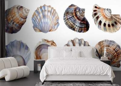 A set of nine shells, each with a different pattern and color Wall mural