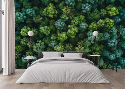 Drone view, environment or sustainability mockup of forrest for background, wallpaper and design. Green beauty, lush and natural backdrop with copyspace for ecology, eco friendly or carbon footprint Wall mural