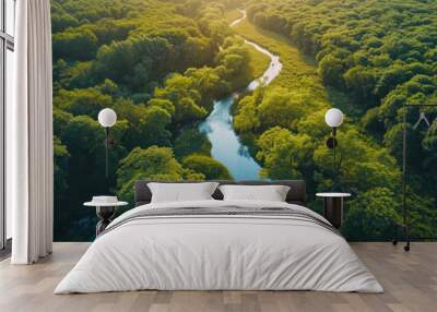 Drone view, environment or sustainability of forrest river for background, wallpaper and design. Green beauty, lush and natural backdrop with copyspace for ecology, eco friendly or carbon footprint Wall mural