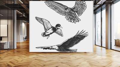 Set of birds. Duck, eagle and owl. Wall mural