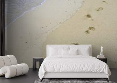 footstep on the sand Wall mural