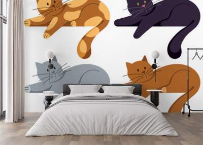 Cat Lying on White Wall mural