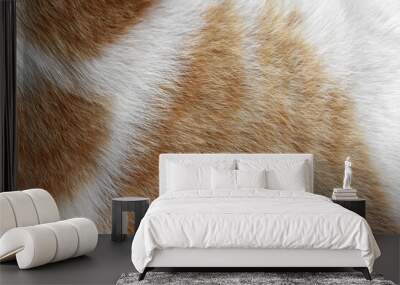 Cat fur texture background. Ginger and white cat fur texture. Wall mural