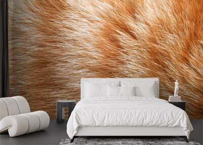 Ginger cat fur texture background. Wall mural