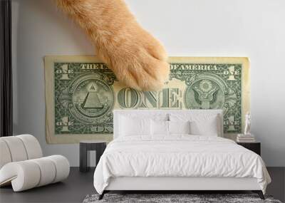 Ginger cat paw on one dollar bill. Wall mural