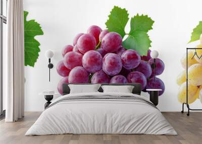 Grape set isolated on transparent background ideal for food or vineyard themes Wall mural