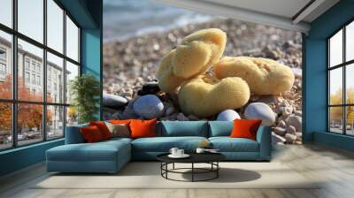 Sea sponges on the sea beach. Face care. Cosmetic. Wall mural