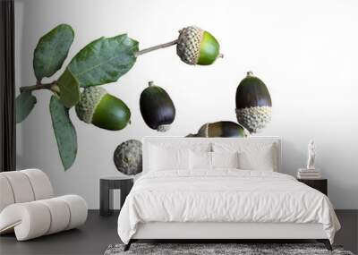 Various acorns on a cedr plank as a background decoration for the holiday Wall mural