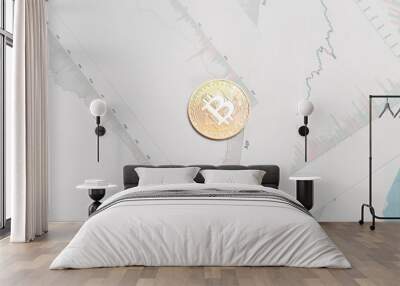 coin bitcoin. the concept of trading cryptocurrency. The rapid growth of the currency. Wall mural