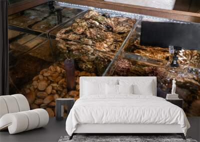 Oysters, sea urchin and mussels for sale in a water aquariums at the street market in France. Seafood concept. Wall mural