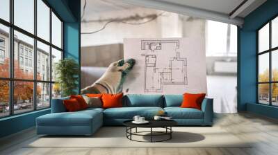 The construction worker hold in hands Architectural blueprints. Repair or construction of a new apartment. Concept for new house design or home improvement. Development of the apartment project. Wall mural