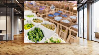 Warehouse refrigerator, Wholesale flowers for flower shops. Hyacinths in a plastic container or bucket. Online store. Floral shop and delivery concept. Wall mural