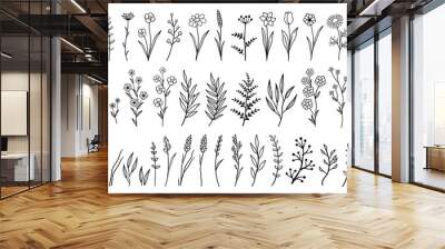 hand drawn isolated flowers and herbs Wall mural