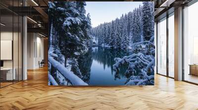 lake in the snow Wall mural