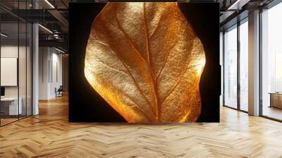 A single, golden leaf isolated on a black background.  The leaf is illuminated from the back, creating a beautiful, abstract image. Wall mural