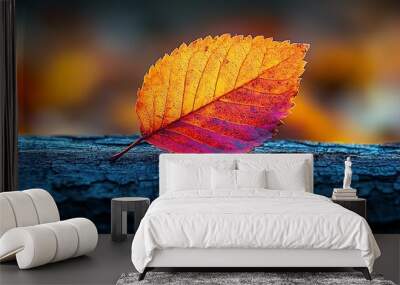 Single vibrant orange and red leaf resting on a dark blue tree branch in a blurred autumn background. Wall mural