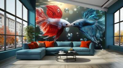 Two colorful Siamese fighting fish, red and blue, kiss in an aquarium with bubbles and plants. Wall mural