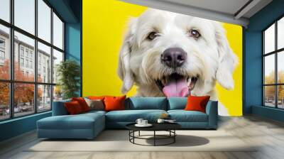 A happy white dog with a big smile on a vibrant yellow background. Wall mural