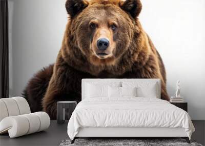 Bear on white Wall mural