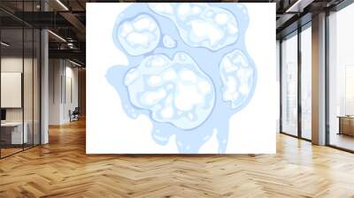 Isolated melted snowball. Flung snowball hit. Clipart Wall mural