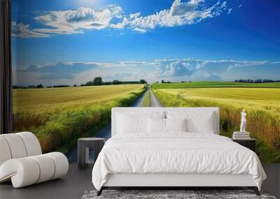 Beautiful idyllic landscape in countryside banner format with a wide field of cereals and a pasture divided by a deserted asphalt road against a blue summer sky Wall mural