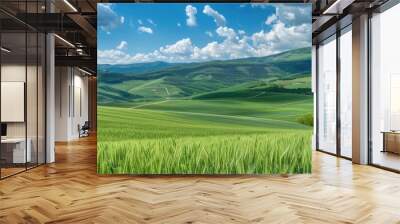 Beautiful spring natural panorama of a field of young green wheat on the hills against a blue sky with clouds. Wall mural