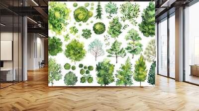 In this watercolor illustration, various green trees, bushes, and shrubs are depicted from a top view, perfect for landscape design plans. The image is isolated on a white background Wall mural