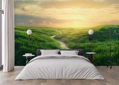 Scenic winding path through a field of green grass in the morning. Beautiful natural image Wall mural