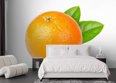 ripe orange Wall mural