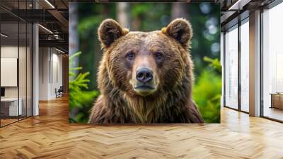 A majestic brown bear's curious face gazes directly at the camera, its expressive eyes and nose surrounded by thick, luxurious fur in a serene forest. Wall mural