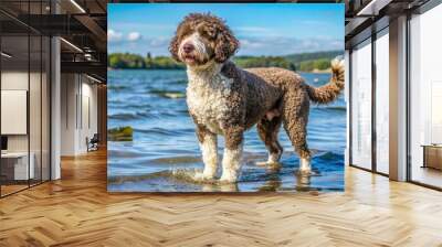 A sleek Spanish Water Dog, with curly coat and alert ears, stands by the rippling water's edge, tail wagging, enjoying a sunny afternoon. Wall mural