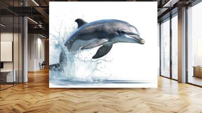 dolphin jumping out of water Wall mural