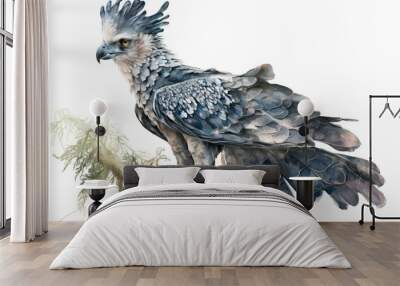 Harpy Eagle Watercolor Isolate on white background. Wall mural