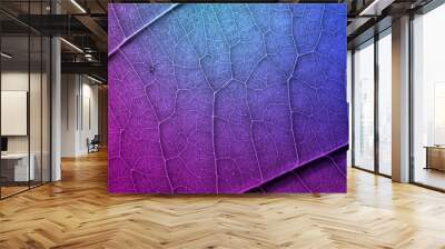 Colorful leaves texture header design Wall mural