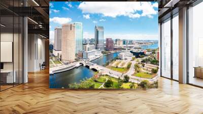 Aerial panorama of Tampa, Florida skyline. Tampa is a city on the Gulf Coast of the U.S. state of Florida. Wall mural