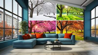 four seasons with japanese cherry trees in hurd park, dover, new jersey Wall mural