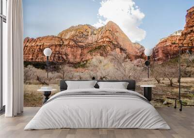 Zion national park hiking Wall mural