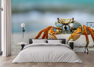 Curious Crab Exploring the Vibrant Coastal Seashore Wall mural