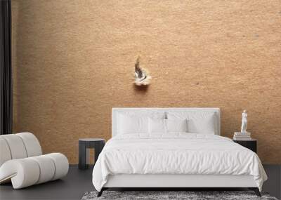 Beige color cardboard box textured background with torn surface in center Wall mural