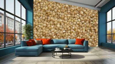 Brown raw Little millet grains Wall mural