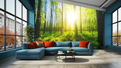 Beautiful green forest with tall trees and sunlight rays through the leaves, spring nature landscape background Wall mural